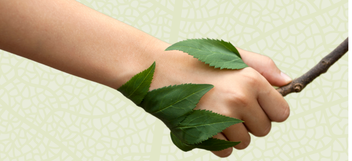 Corporate Gifts Sustentáveis - Soluções de Merchandising Responsável